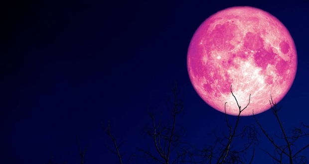 الأرض على موعد مع “القمر الوردي” الثلاثاء المقبل