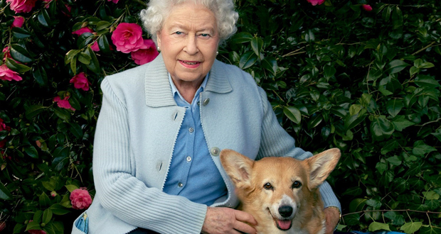 لندن: معرض يضم صوراً للملكة إليزابيث الثانية برفقة كلابها